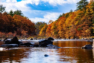 Sonbaharda sakin bir New England nehrinde sallanıyor