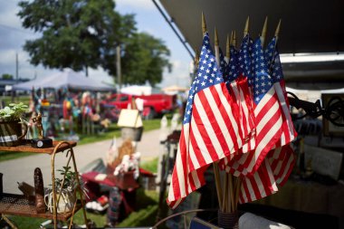 bir grup Amerikan bayrakları