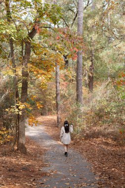 Woman enjoying a Fall walk in the forest clipart