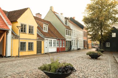 Büyüleyici kaldırım taşı sokağının ortasında, canlı evler 