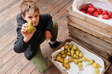 Boy holding a pear, wooden boxes and wooden floor in the market clipart