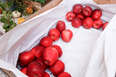 Apples are red and bright scattered in a box on white paper clipart