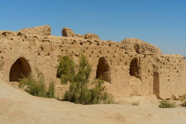 Önünde küçük ağaçlar olan bir çöl manzarası.