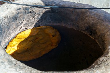 Sarı bir tortilla yerde bir delikte oturur.