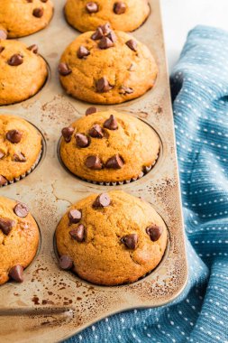 Pumpkin chocolate chip muffins in a baking tin with a cozy blue cloth clipart