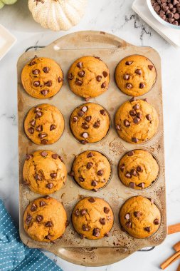 Taze pişmiş balkabağı, çikolatalı çörekleri teneke kutuda görmek için.