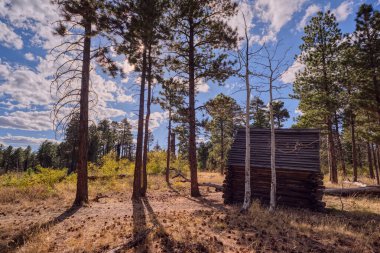 Historic Salt Cabin at Greenland Lake on North Rim AZ clipart