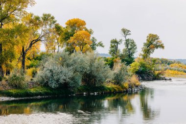 Yellowstone Nehir Sahnesi Güzel Düşen Yapraklar