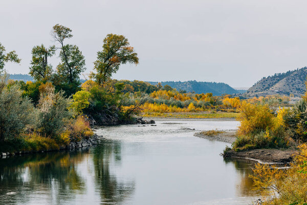 Yellowstone River in Montana With Fall Foliage