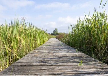 Co Westmeath, İrlanda 'daki Ballinafid Gölü