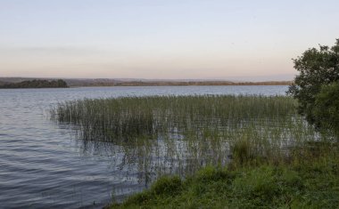 Leitrim 'de bir yaz gününde Lough Scannell