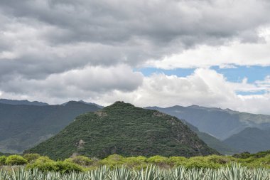 Oaxaca Meksika 'da güzel bir dağ manzarası..
