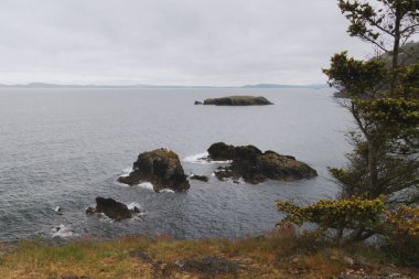 Rock outcroppings near cliffs in Puget Sound on cloudy day clipart