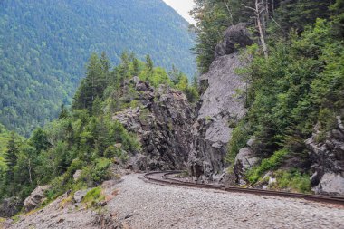Kayalık kayalıklarla dolu verimli bir dağ ormanının içinden geçen tren yolu.