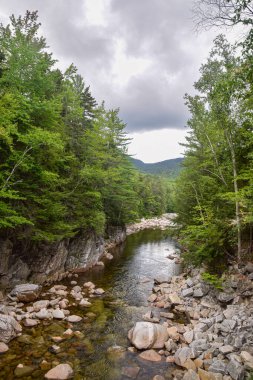Nehir kayaların üzerinden akıyor, ormanı ve bulutlu gökyüzü.
