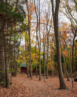 Sonbaharda ormanda kırmızı bir ahıra giden yürüyüş yolu.