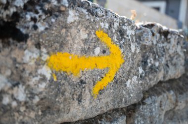 Camino de Santiago 'nun kabuğu.