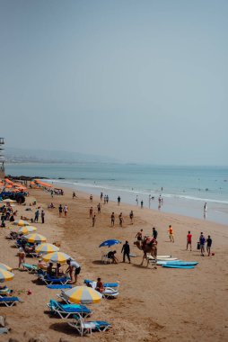 Taghazout Beach, Fas 'ta sörfçüler ve deve.