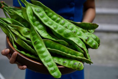 Cropped hand of woman holding fresh bitter bean in wooden plate clipart