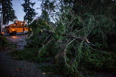 Devrilen ağaçlar fırtınadan sonra yolu tıkıyor