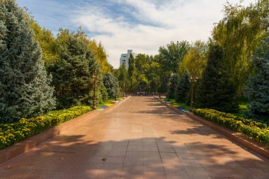 Ağaçların ve çiçeklerin olduğu parkta bir patika.