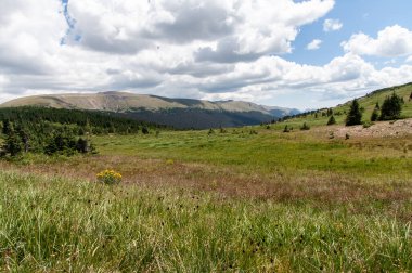 Expansive green mountain meadow under a partly cloudy sky clipart