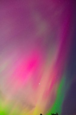 Pembe ve yeşil aurora borealis yıldızlı gökyüzüne karşı