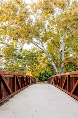Düşen ağaçlar ve yapraklarla yürüyen yaya köprüsü