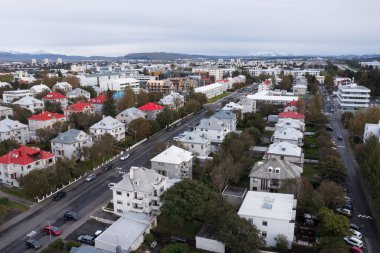 Binalar ve ağaçlarla dolu şehir manzarası