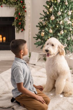 Çocuk ve köpek Noel ağacının önünde birlikte oynuyorlar.