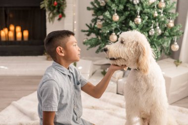 Çocuk yılbaşı ağacının önündeki köpeğe bakıyor.