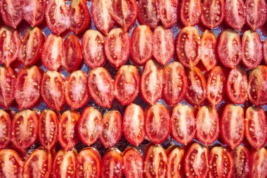 Closeup of Sun-Dried Tomatoes in Rows clipart