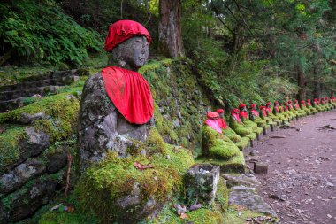 Yeşil yosunlarla kaplı Buda heykellerinin yatay görüntüsü.