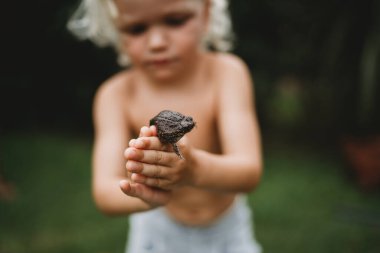 Yazın kurbağa tutan genç bir çocuk.