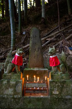 Two foxes protect a stone gravesite in forest in Kyoto. clipart