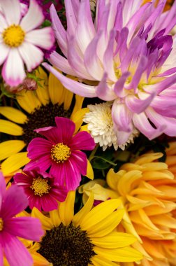 Canlı bir bahçe buketi Taze çiçekler