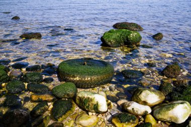 Denia denizcilerinin çarkları çimentoyla dolu.