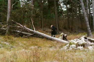 Genç bir kadın Letonya, Pavilosta 'da bir kış ormanında yürüyor.
