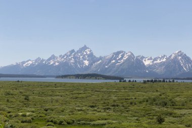 Açık havada Grand Tetons ve açık bir çayır.