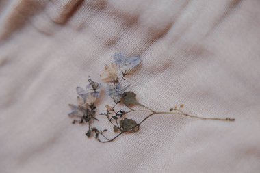 Keten arka planda kurumuş kır çiçekleri