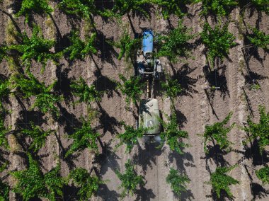 Arjantin 'de traktör dezenfekte ediliyor.