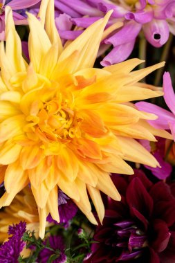 Taze bahçelerin arasında büyük şeftalili yemek tabağı.