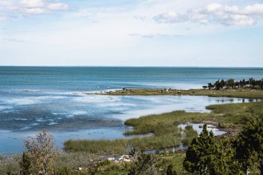 Deniz ve vahşi yaşam manzarası