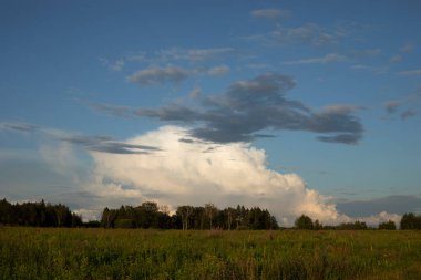Yaz manzarası. Doğa manzarası. Gökyüzünde büyük bir bulut.