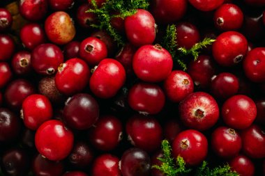 Kırmızı yaban mersinlerinin yakın plan fotoğrafı..