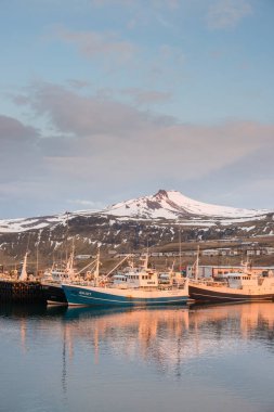 Port reflection with boats and snow mountain clipart