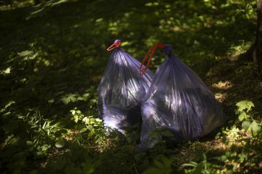Parkta mor çöp torbaları.