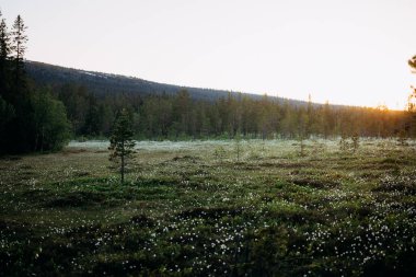 Pamuk Çayırı Üzerinde Gün Batımı