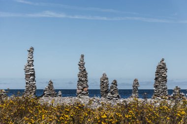 Deniz, kayalık sahil ve sarı çiçekler