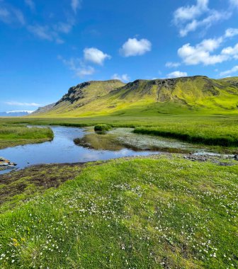 İzlanda 'da bir nehrin yakınındaki yemyeşil arazi